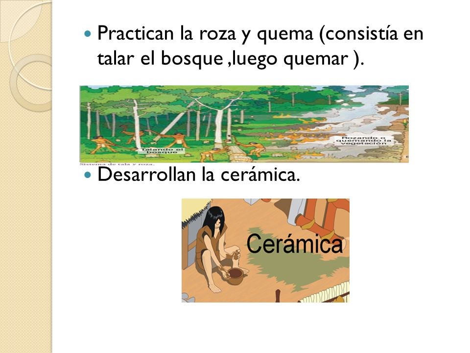 Practican la roza y quema (consistía en talar el bosque ,luego quemar ).