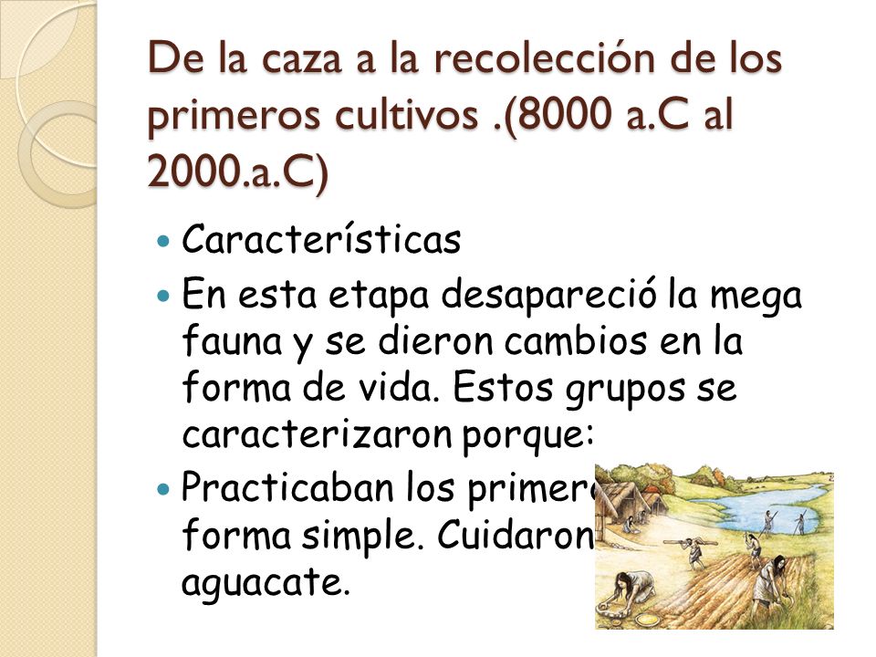 De la caza a la recolección de los primeros cultivos. (8000 a