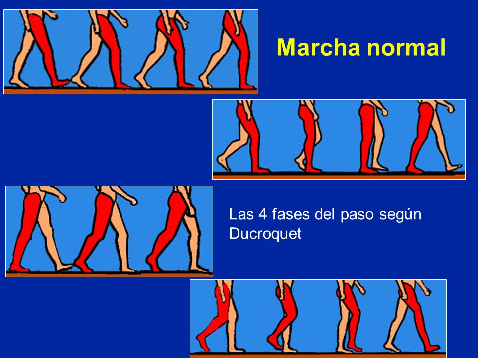 Marcha normal Las 4 fases del paso según Ducroquet