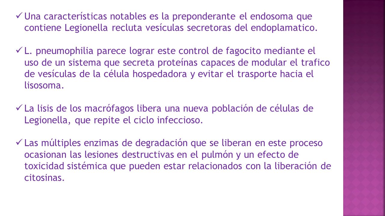 Una características notables es la preponderante el endosoma que contiene Legionella recluta vesículas secretoras del endoplamatico.