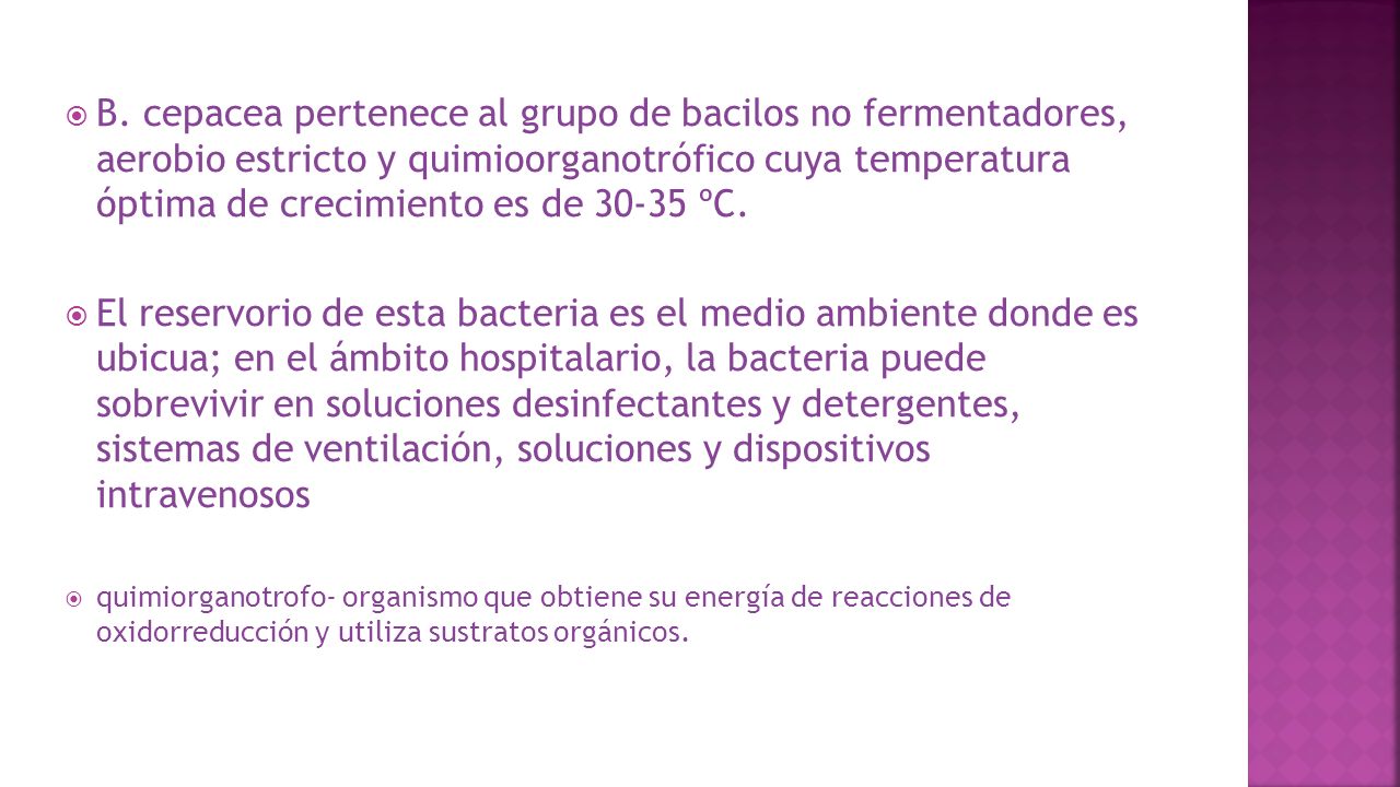B. cepacea pertenece al grupo de bacilos no fermentadores, aerobio estricto y quimioorganotrófico cuya temperatura óptima de crecimiento es de ºC.