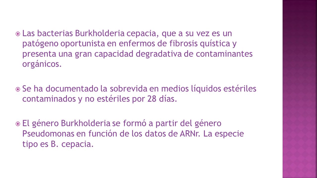 Las bacterias Burkholderia cepacia, que a su vez es un patógeno oportunista en enfermos de fibrosis quística y presenta una gran capacidad degradativa de contaminantes orgánicos.