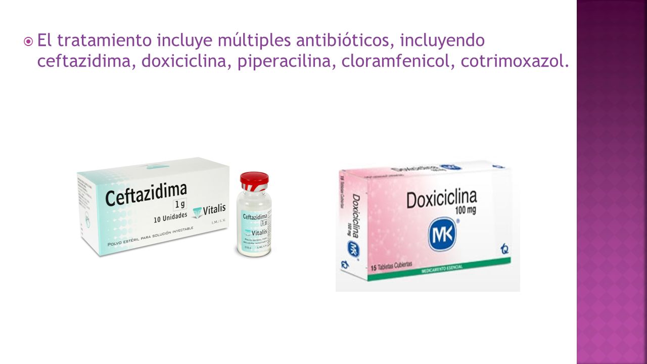 El tratamiento incluye múltiples antibióticos, incluyendo ceftazidima, doxiciclina, piperacilina, cloramfenicol, cotrimoxazol.