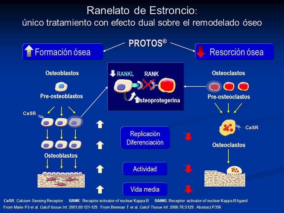 Ranelato de Estroncio: único tratamiento con efecto dual sobre el remodelado óseo