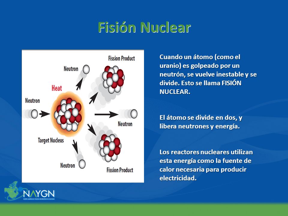 Fisión Nuclear Cuando un átomo (como el uranio) es golpeado por un neutrón, se vuelve inestable y se divide. Esto se llama FISIÓN NUCLEAR.