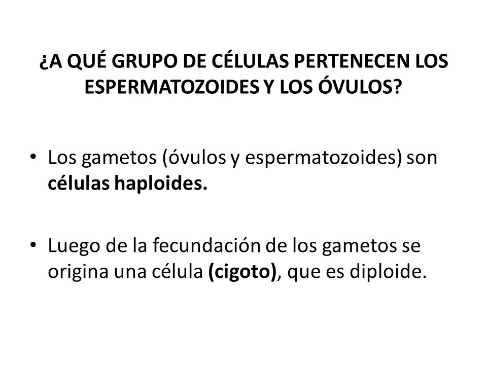 ¿A QUÉ GRUPO DE CÉLULAS PERTENECEN LOS ESPERMATOZOIDES Y LOS ÓVULOS