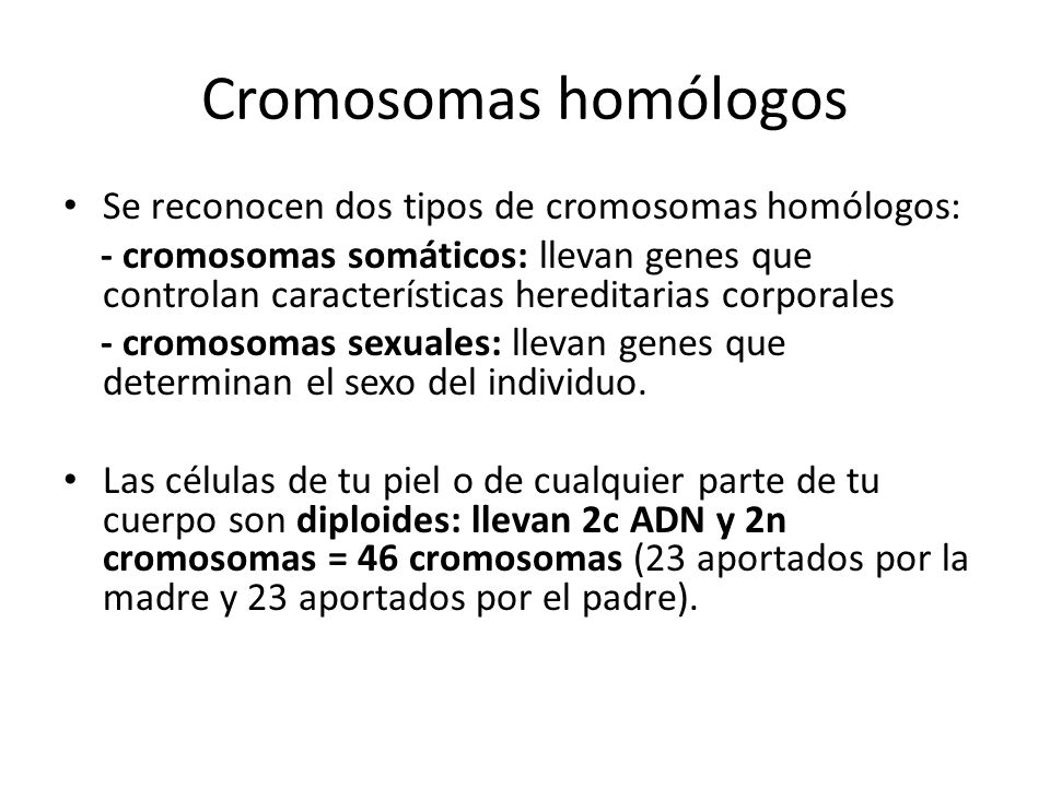 Cromosomas homólogos Se reconocen dos tipos de cromosomas homólogos: