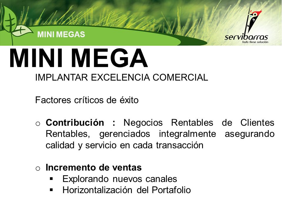 MINI MEGA IMPLANTAR EXCELENCIA COMERCIAL Factores críticos de éxito