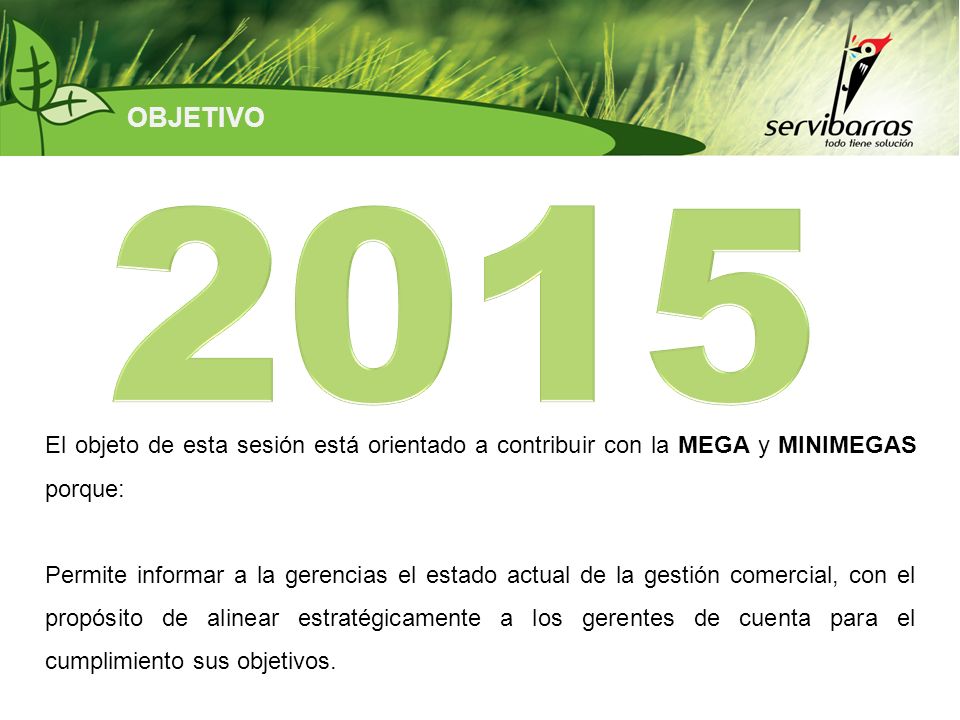 OBJETIVO El objeto de esta sesión está orientado a contribuir con la MEGA y MINIMEGAS porque: