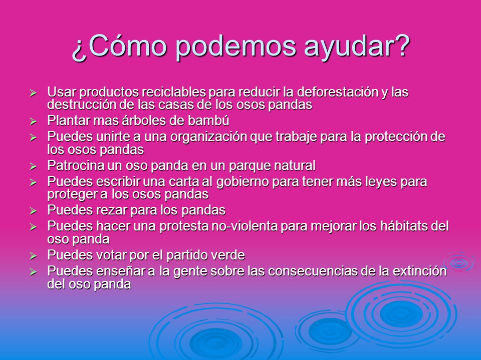 ¿Cómo podemos ayudar Usar productos reciclables para reducir la deforestación y las destrucción de las casas de los osos pandas.