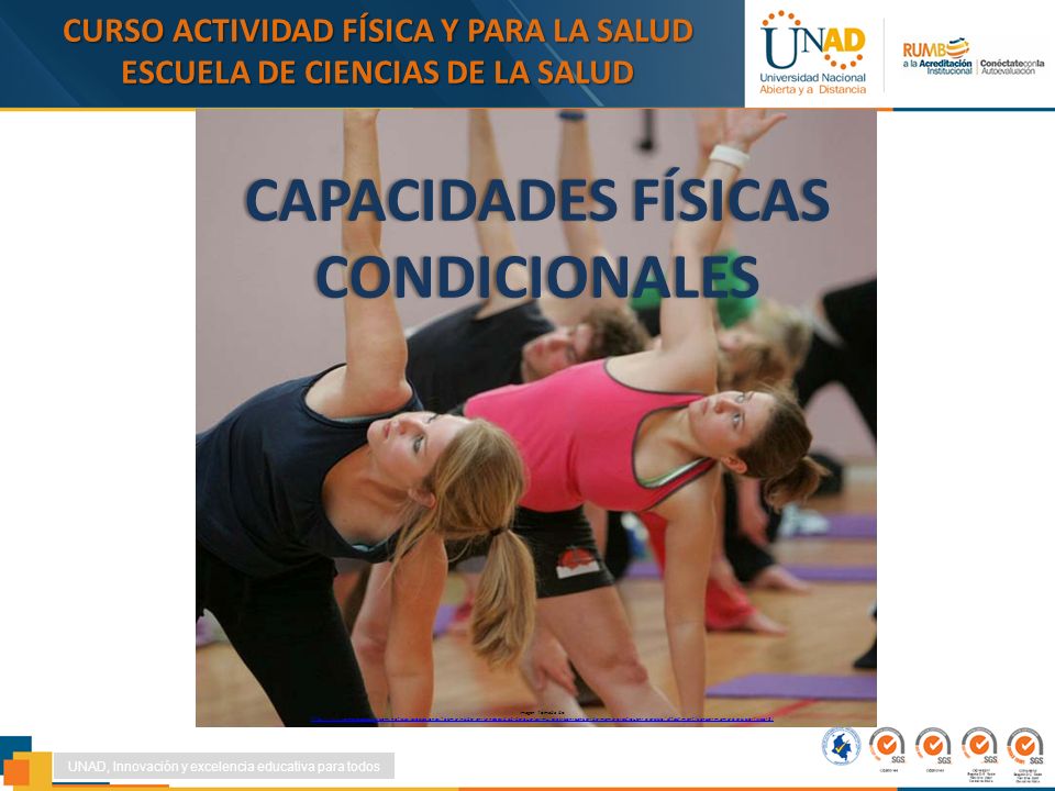 CURSO ACTIVIDAD FÍSICA Y PARA LA SALUD ESCUELA DE CIENCIAS DE LA SALUD
