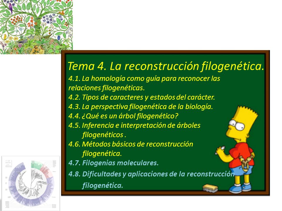 Tema 4. La reconstrucción filogenética.
