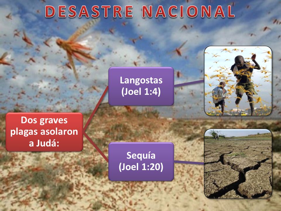 Dos graves plagas asolaron a Judá: