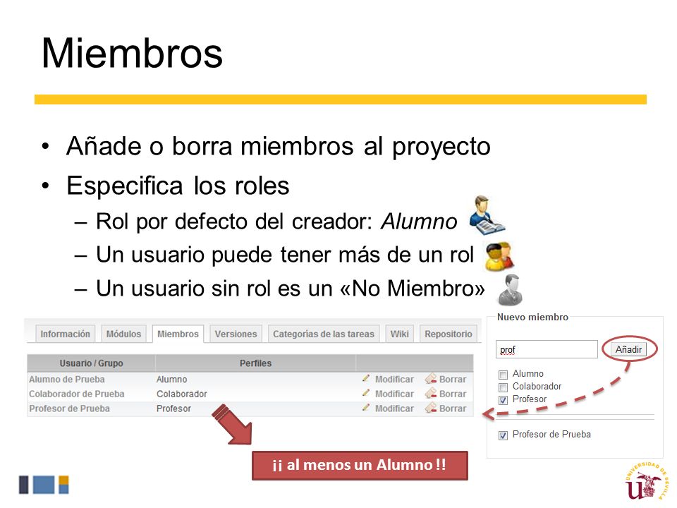 Miembros Añade o borra miembros al proyecto Especifica los roles