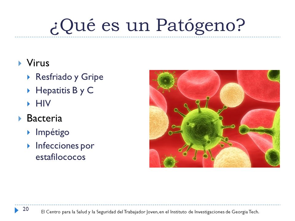 ¿Qué es un Patógeno Virus Bacteria Resfriado y Gripe Hepatitis B y C