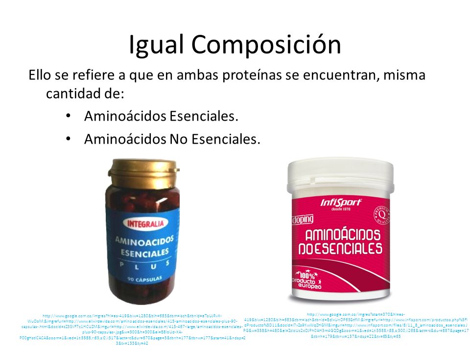 Igual Composición Ello se refiere a que en ambas proteínas se encuentran, misma cantidad de: Aminoácidos Esenciales.