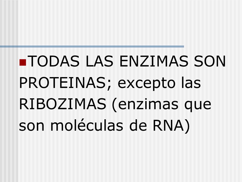 TODAS LAS ENZIMAS SON PROTEINAS; excepto las RIBOZIMAS (enzimas que son moléculas de RNA)