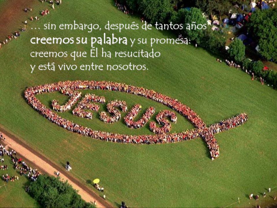 … sin embargo, después de tantos años creemos su palabra y su promesa: creemos que Él ha resucitado y está vivo entre nosotros.