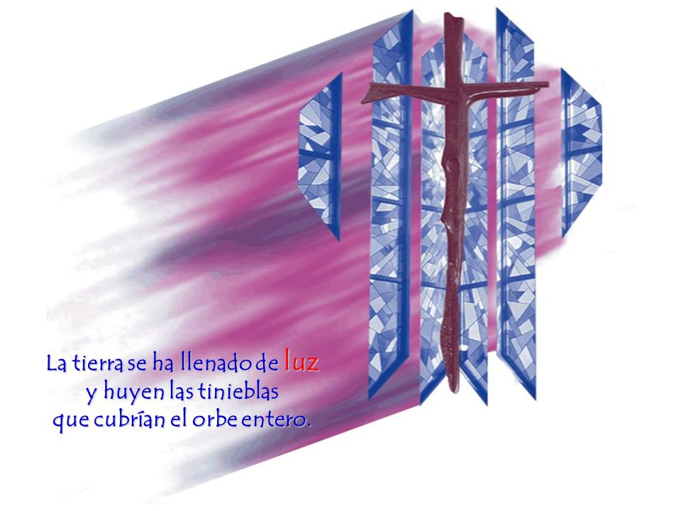 La tierra se ha llenado de luz y huyen las tinieblas que cubrían el orbe entero.