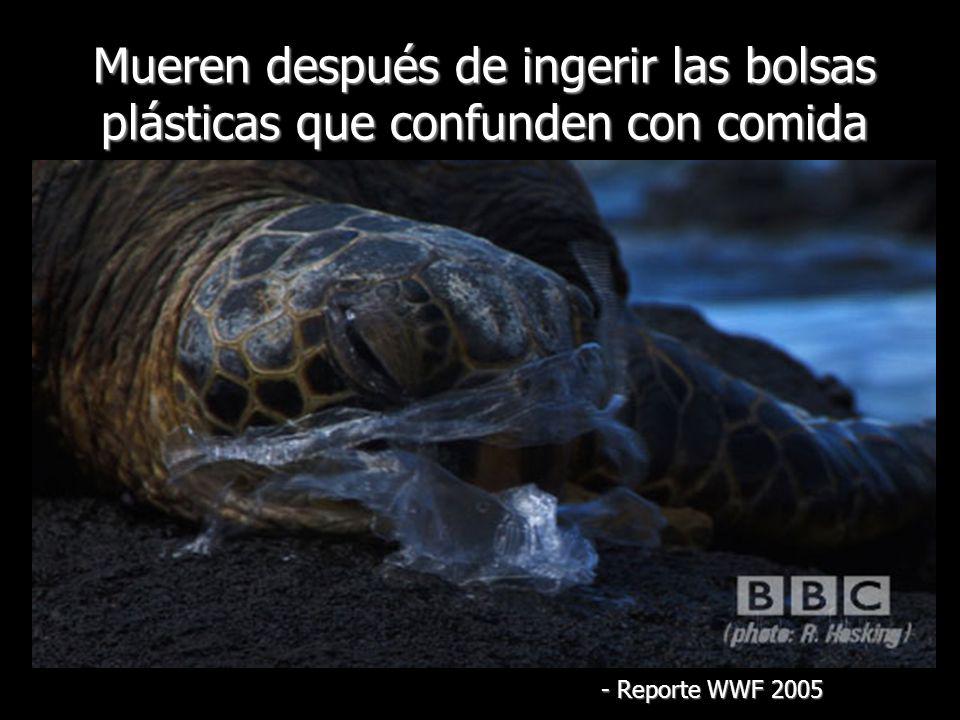 Mueren después de ingerir las bolsas plásticas que confunden con comida