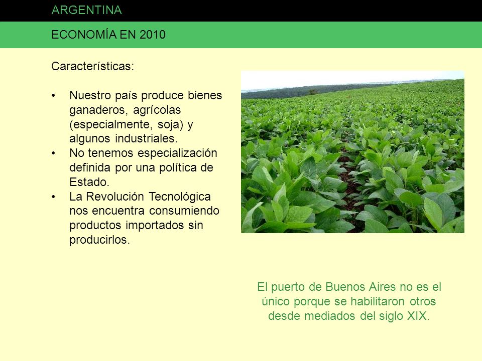 ARGENTINA ECONOMÍA EN Características: Nuestro país produce bienes ganaderos, agrícolas (especialmente, soja) y algunos industriales.