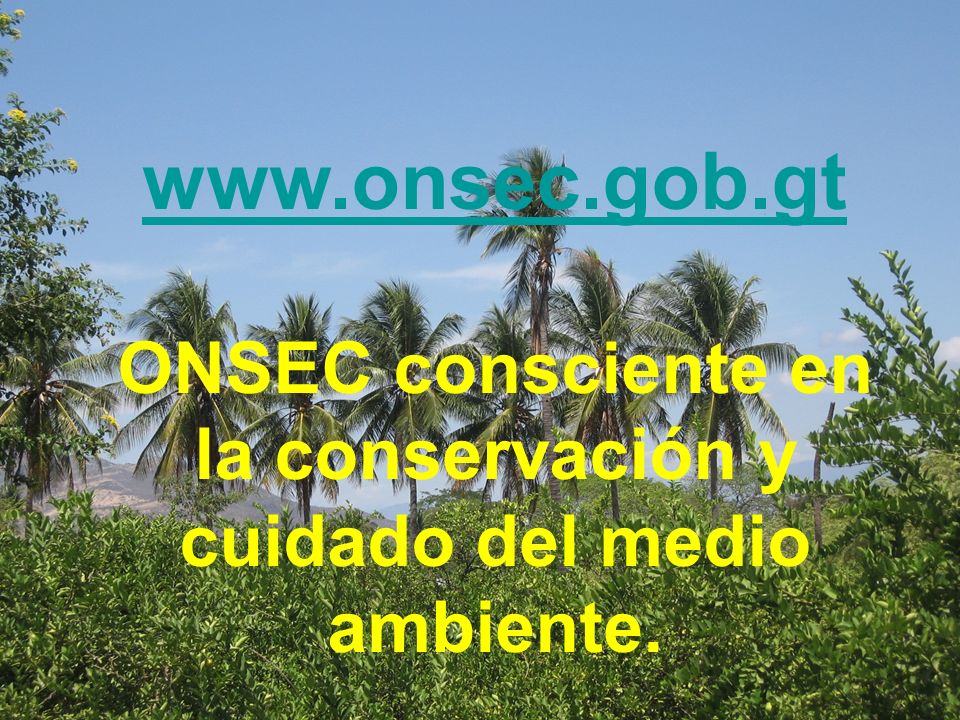 ONSEC consciente en la conservación y cuidado del medio ambiente.
