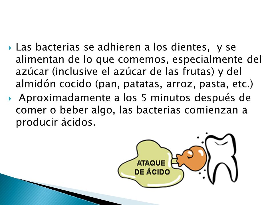 Las bacterias se adhieren a los dientes, y se alimentan de lo que comemos, especialmente del azúcar (inclusive el azúcar de las frutas) y del almidón cocido (pan, patatas, arroz, pasta, etc.)