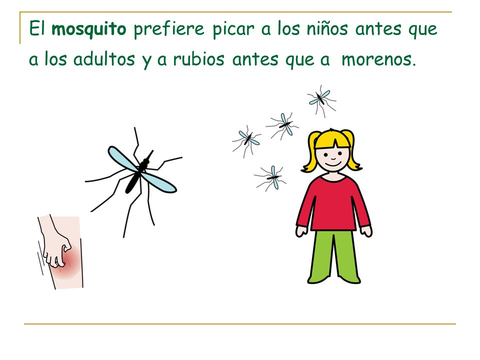 El mosquito prefiere picar a los niños antes que a los adultos y a rubios antes que a morenos.
