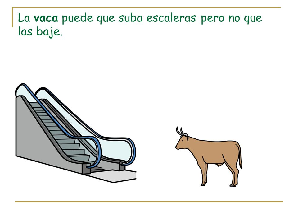 La vaca puede que suba escaleras pero no que las baje.