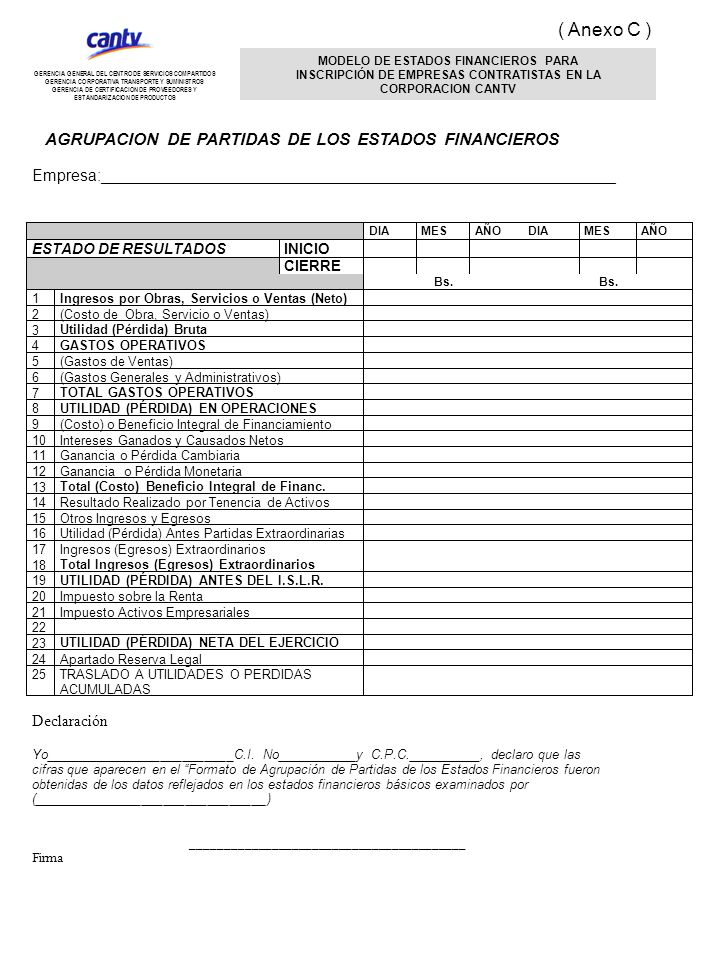 ( Anexo C ) AGRUPACION DE PARTIDAS DE LOS ESTADOS FINANCIEROS