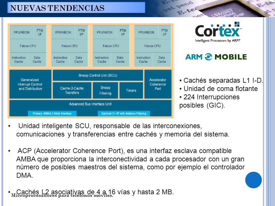 NUEVAS TENDENCIAS Cachés separadas L1 I-D. Unidad de coma flotante