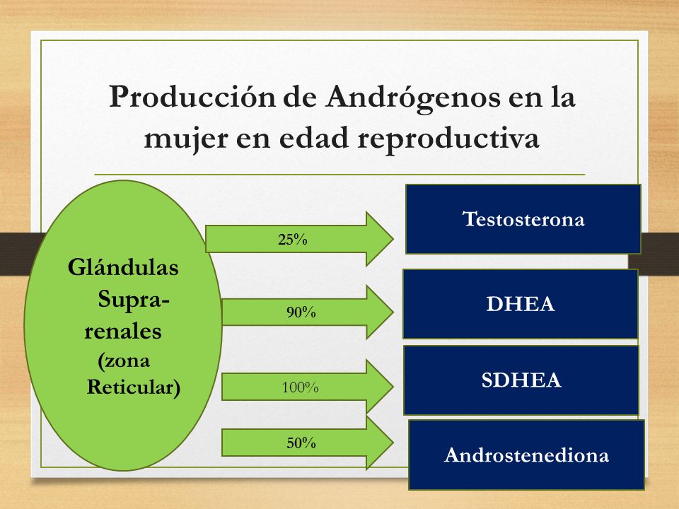 Producción de Andrógenos en la mujer en edad reproductiva