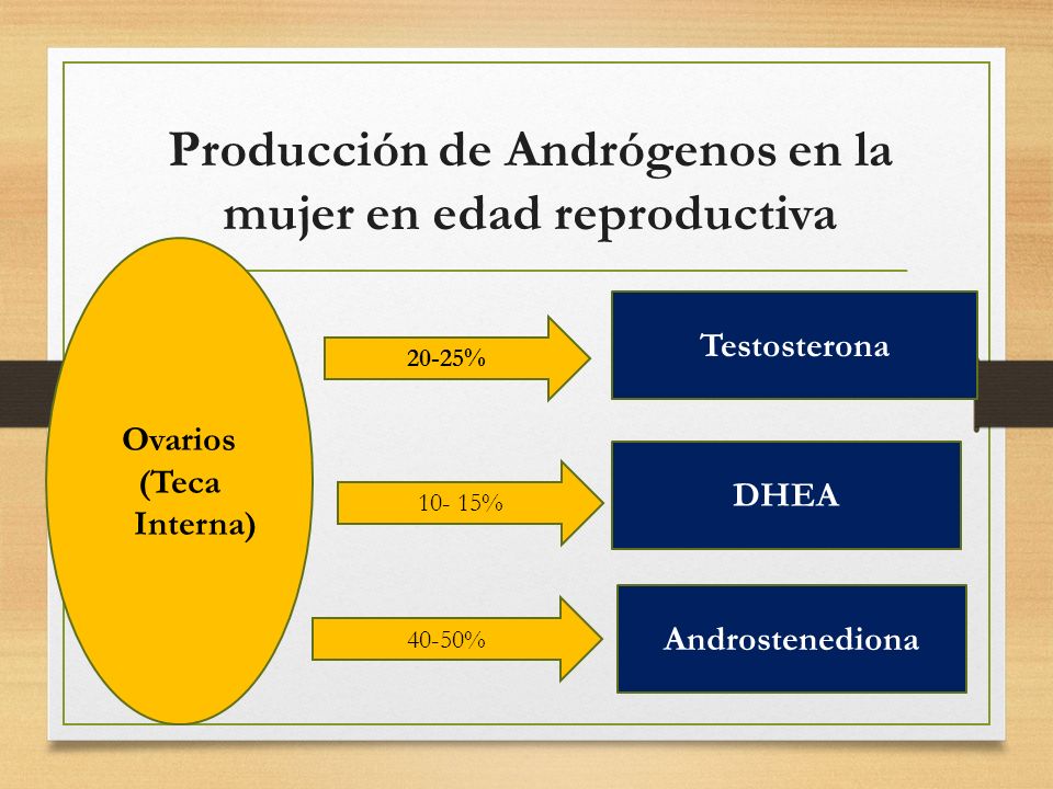 Producción de Andrógenos en la mujer en edad reproductiva