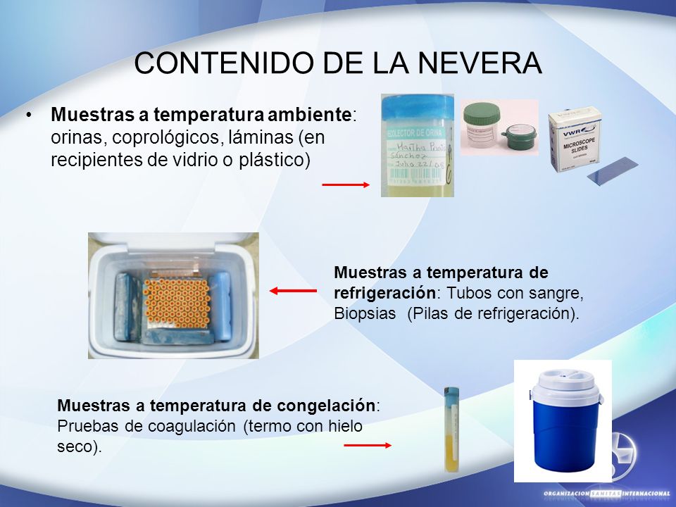 CONTENIDO DE LA NEVERA Muestras a temperatura ambiente: orinas, coprológicos, láminas (en recipientes de vidrio o plástico)