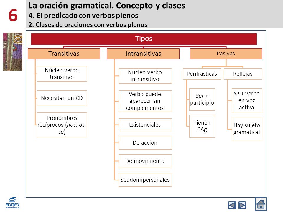 6 La oración gramatical. Concepto y clases 4. El predicado con verbos plenos 2. Clases de oraciones con verbos plenos.