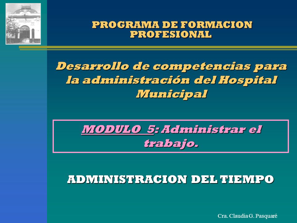PROGRAMA DE FORMACION PROFESIONAL