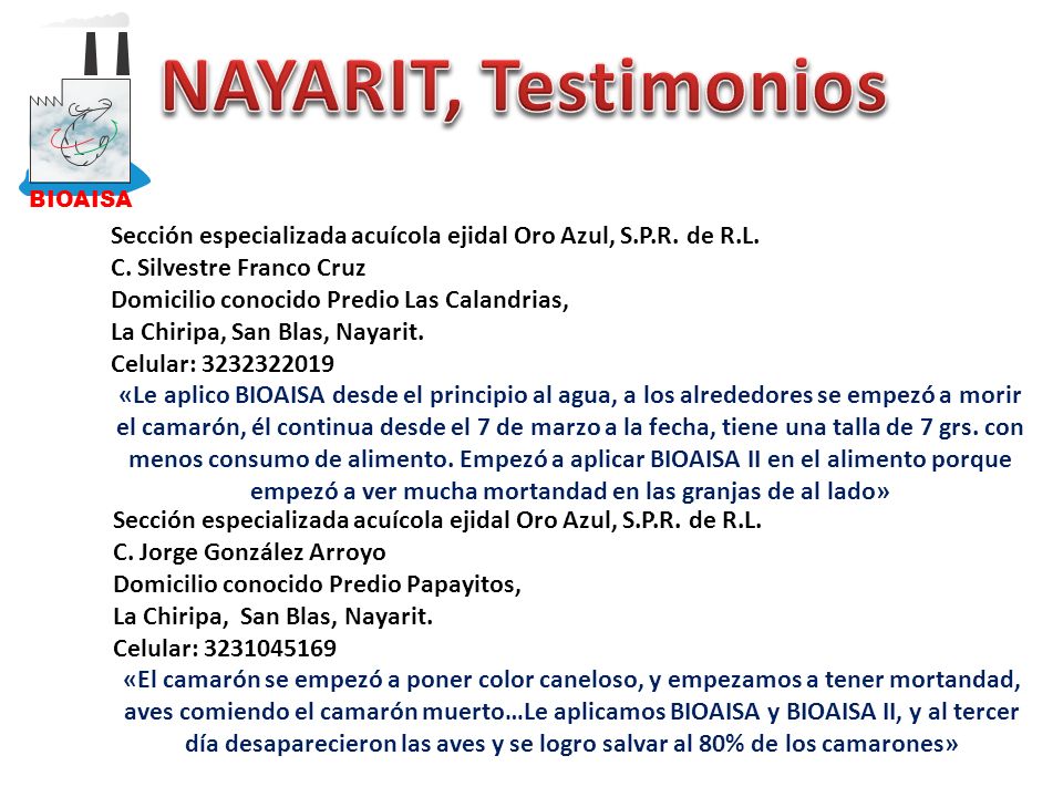 BIOAISA NAYARIT, Testimonios. Sección especializada acuícola ejidal Oro Azul, S.P.R. de R.L. C. Silvestre Franco Cruz.