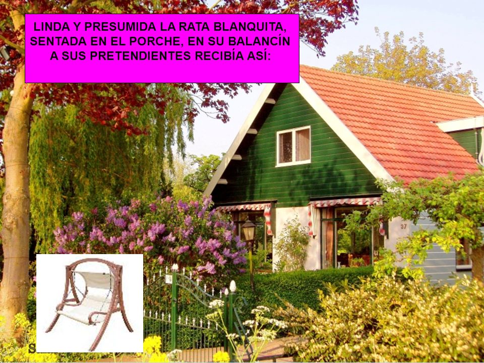 LINDA Y PRESUMIDA LA RATA BLANQUITA, SENTADA EN EL PORCHE, EN SU BALANCÍN A SUS PRETENDIENTES RECIBÍA ASÍ: