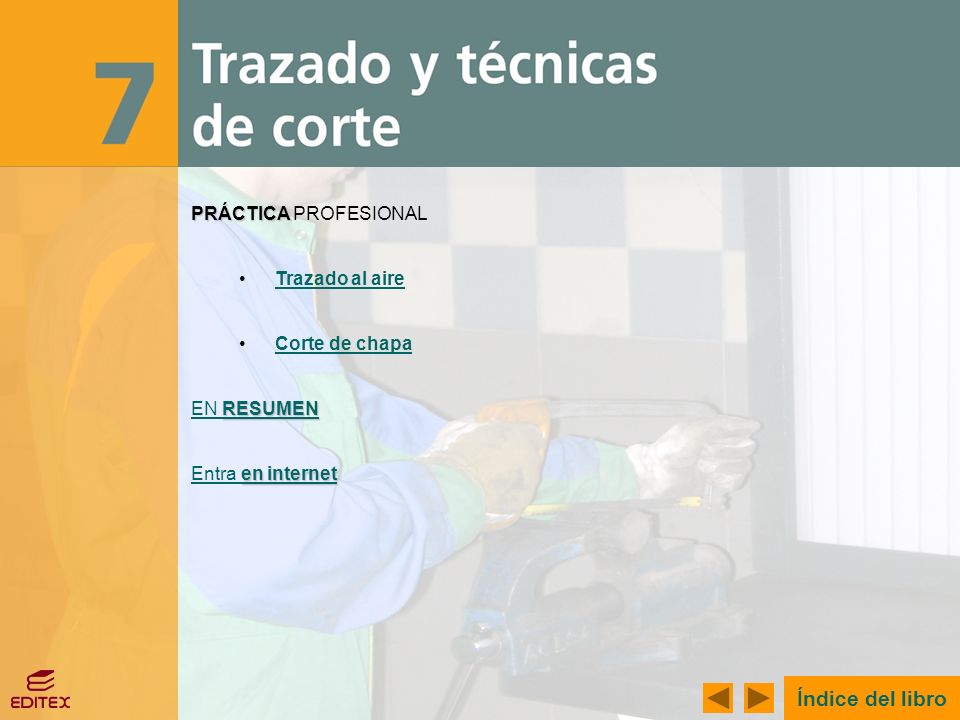 Índice del libro PRÁCTICA PROFESIONAL Trazado al aire Corte de chapa