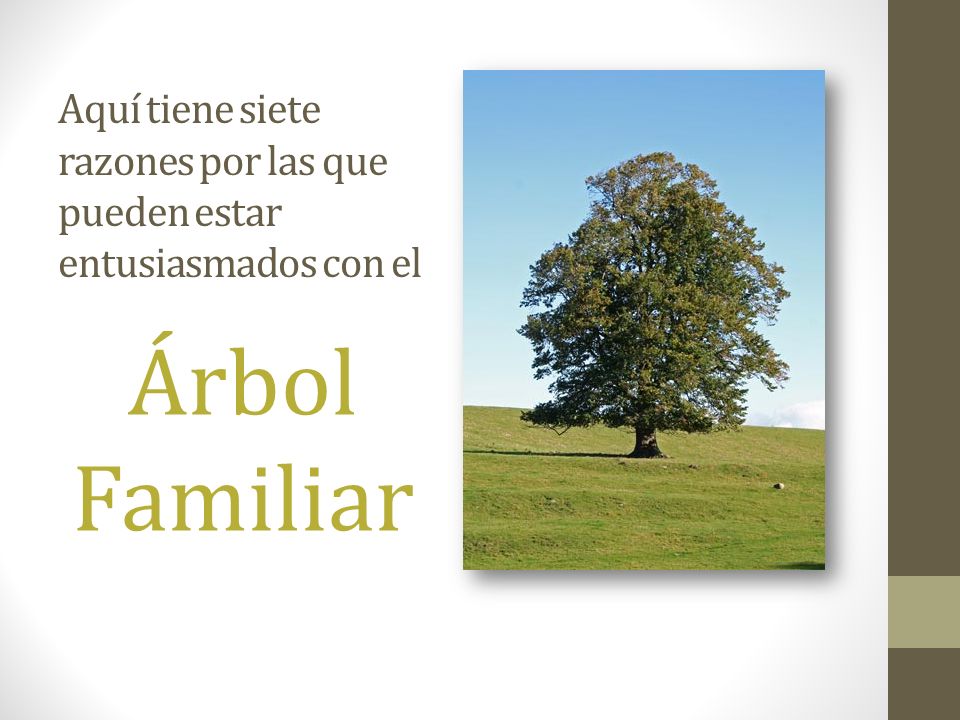 Aquí tiene siete razones por las que pueden estar entusiasmados con el