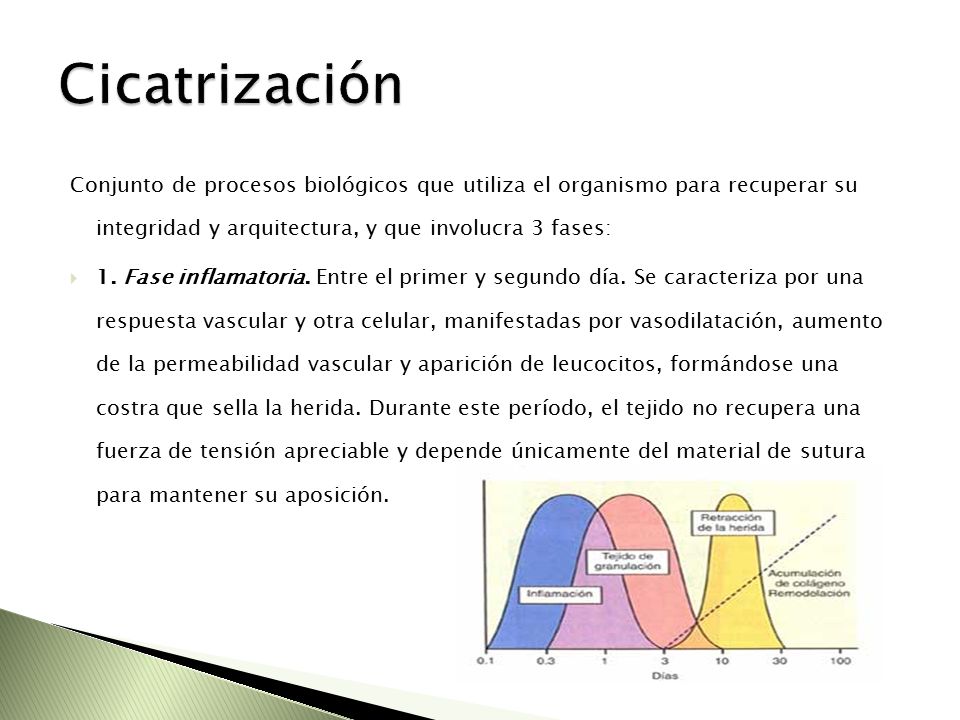 Cicatrización Conjunto de procesos biológicos que utiliza el organismo para recuperar su integridad y arquitectura, y que involucra 3 fases: