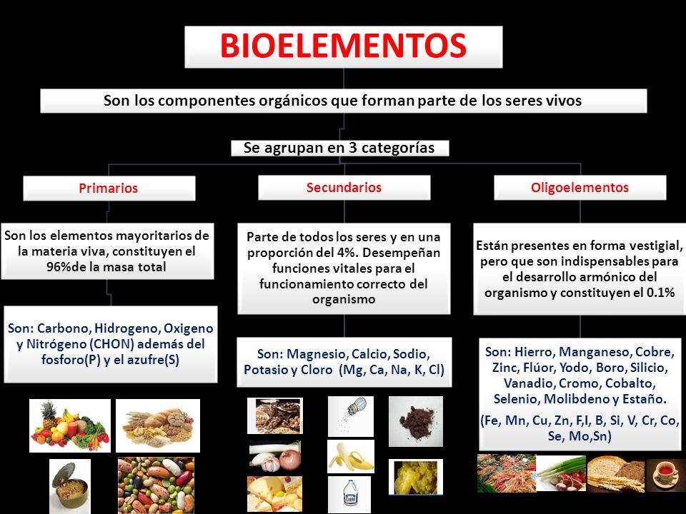 BIOELEMENTOS Son los componentes orgánicos que forman parte de los seres vivos. Se agrupan en 3 categorías.