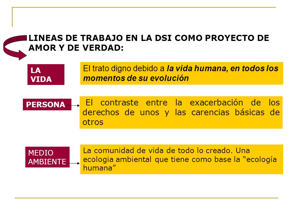 LINEAS DE TRABAJO EN LA DSI COMO PROYECTO DE AMOR Y DE VERDAD: