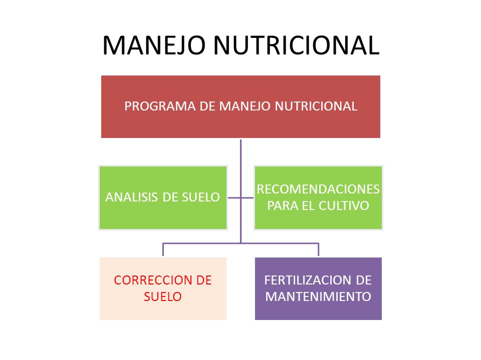 MANEJO NUTRICIONAL PROGRAMA DE MANEJO NUTRICIONAL CORRECCION DE SUELO