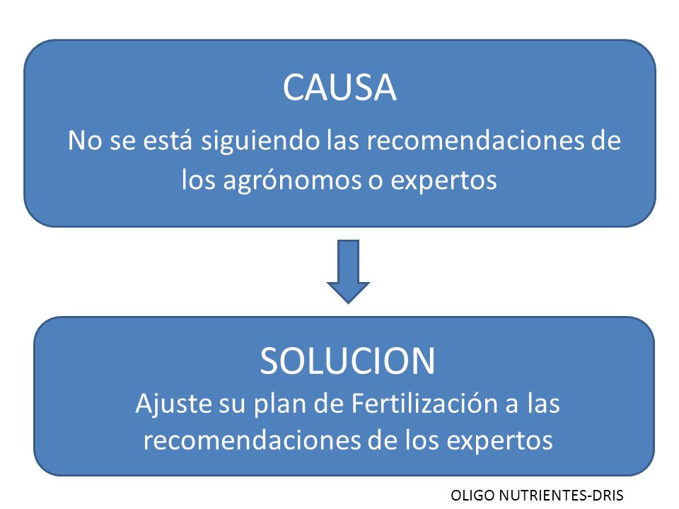 Ajuste su plan de Fertilización a las recomendaciones de los expertos