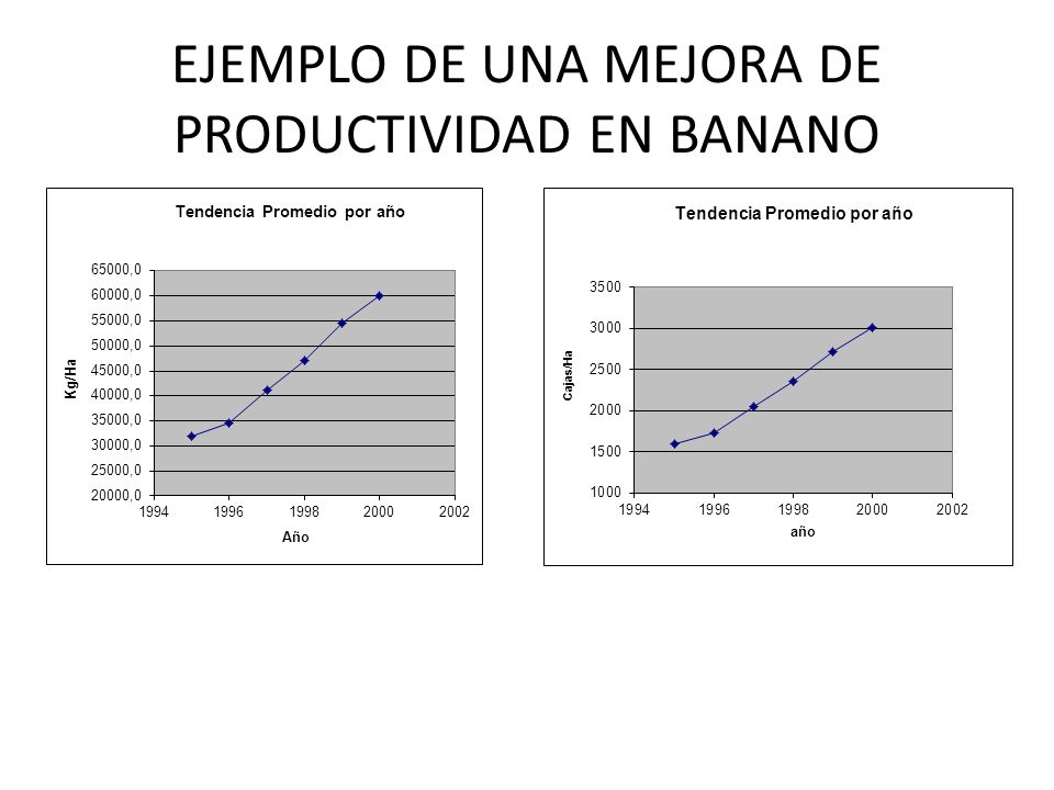 EJEMPLO DE UNA MEJORA DE PRODUCTIVIDAD EN BANANO