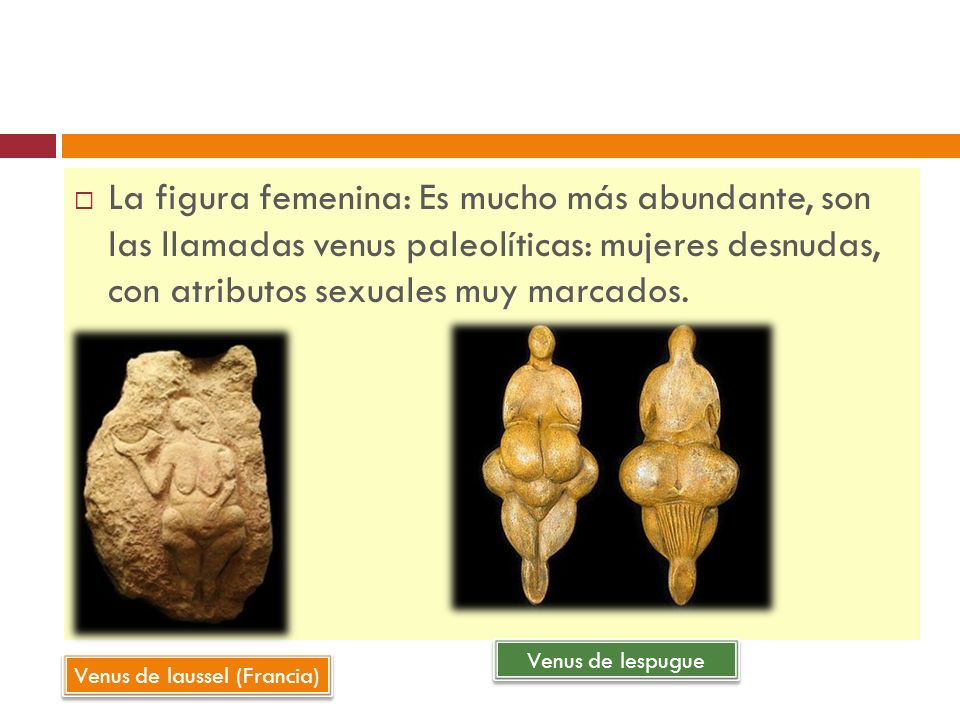 La figura femenina: Es mucho más abundante, son las llamadas venus paleolíticas: mujeres desnudas, con atributos sexuales muy marcados.