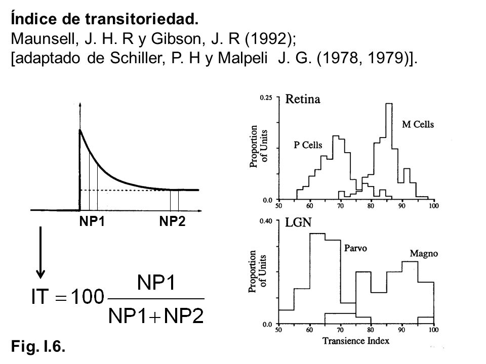 Índice de transitoriedad. Maunsell, J. H. R y Gibson, J. R (1992);