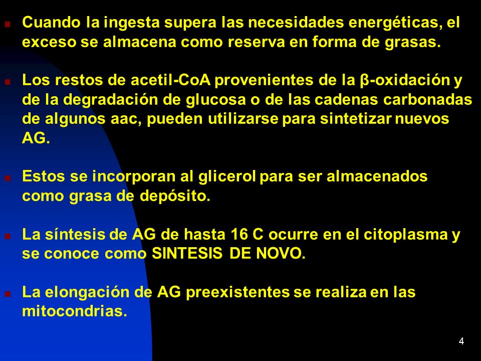 Cuando la ingesta supera las necesidades energéticas, el exceso se almacena como reserva en forma de grasas.