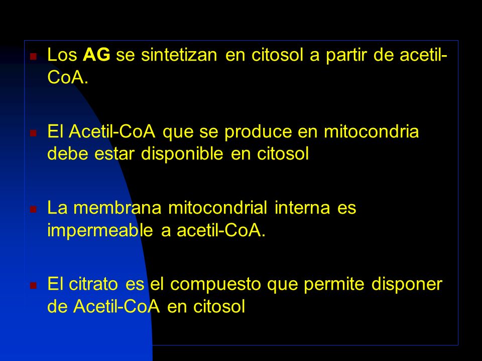 Los AG se sintetizan en citosol a partir de acetil-CoA.